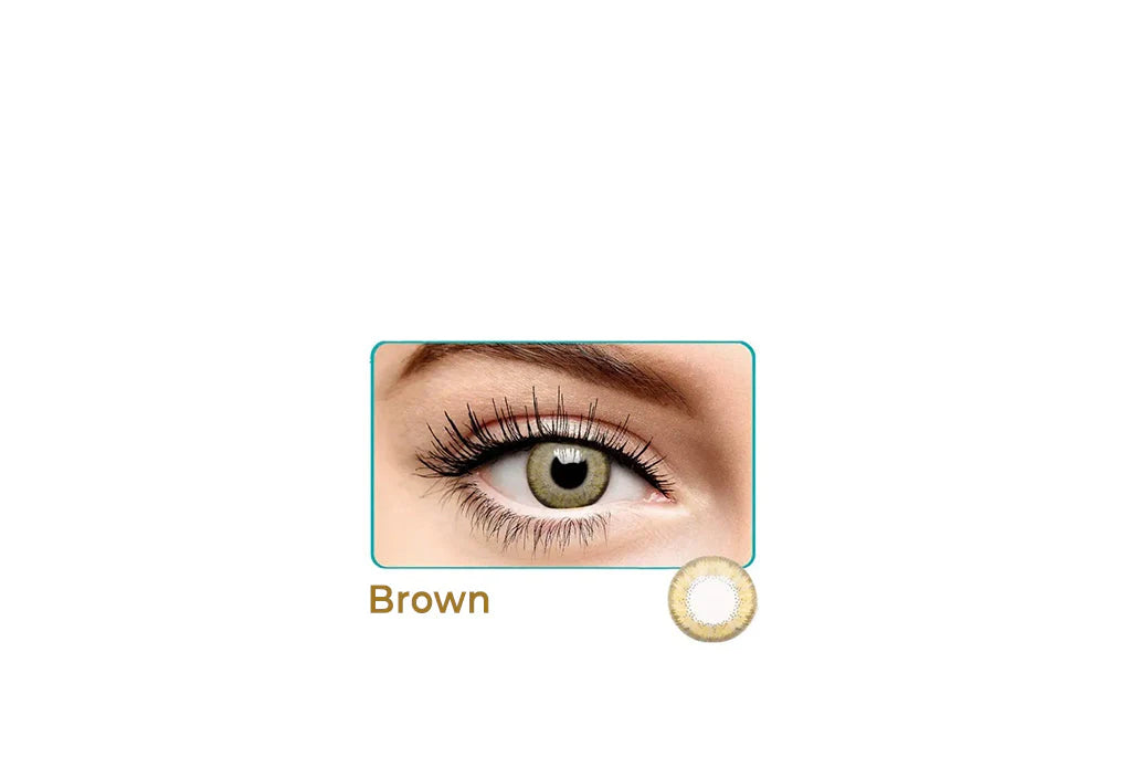 Bausch & Lomb Lacelle Premium Monthly Disposable - Brown